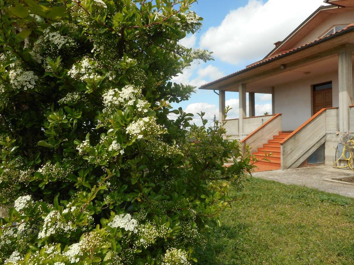 Poggio Fiorito Lägenhet Castiglion Fiorentino Exteriör bild