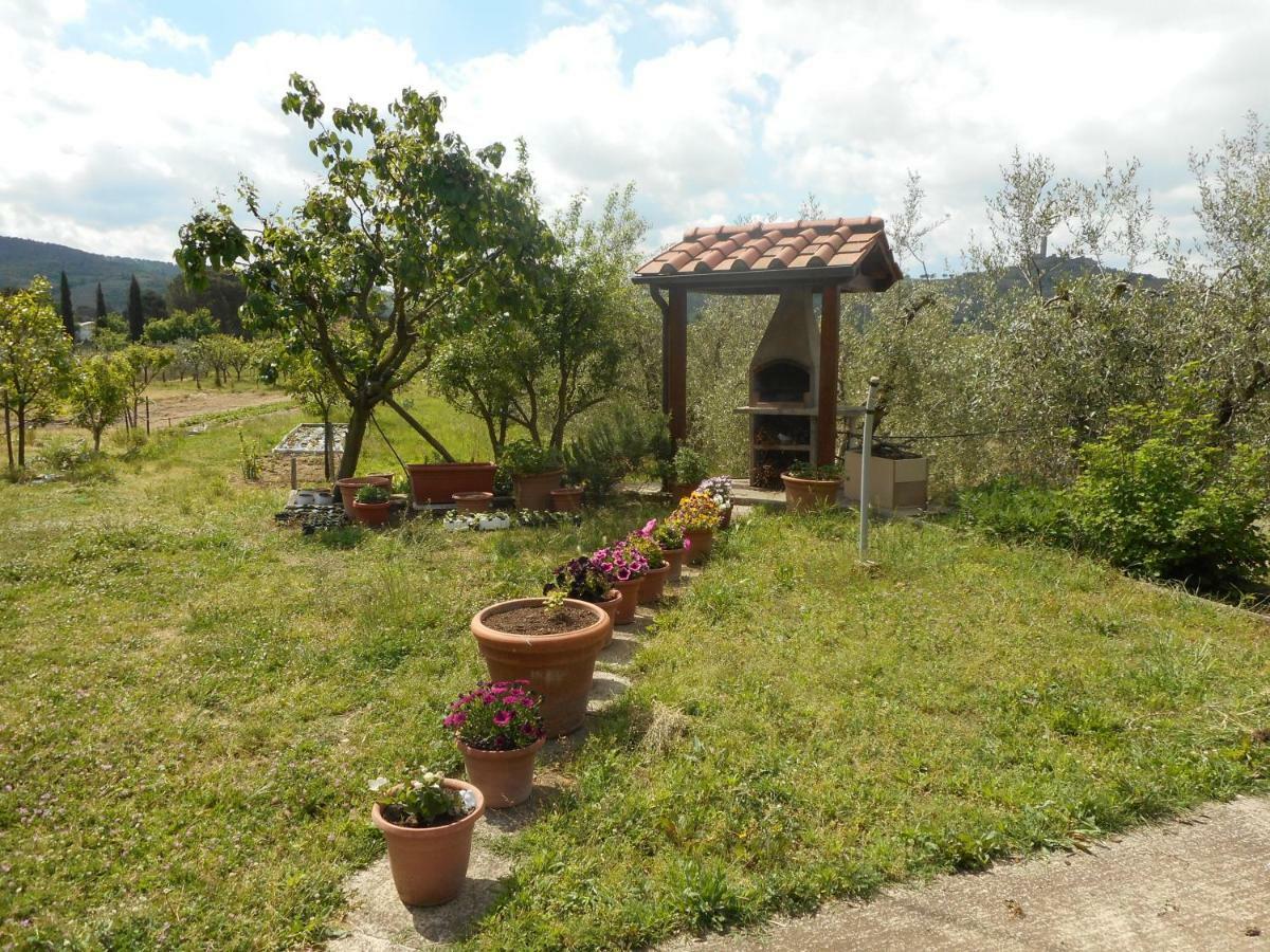 Poggio Fiorito Lägenhet Castiglion Fiorentino Exteriör bild