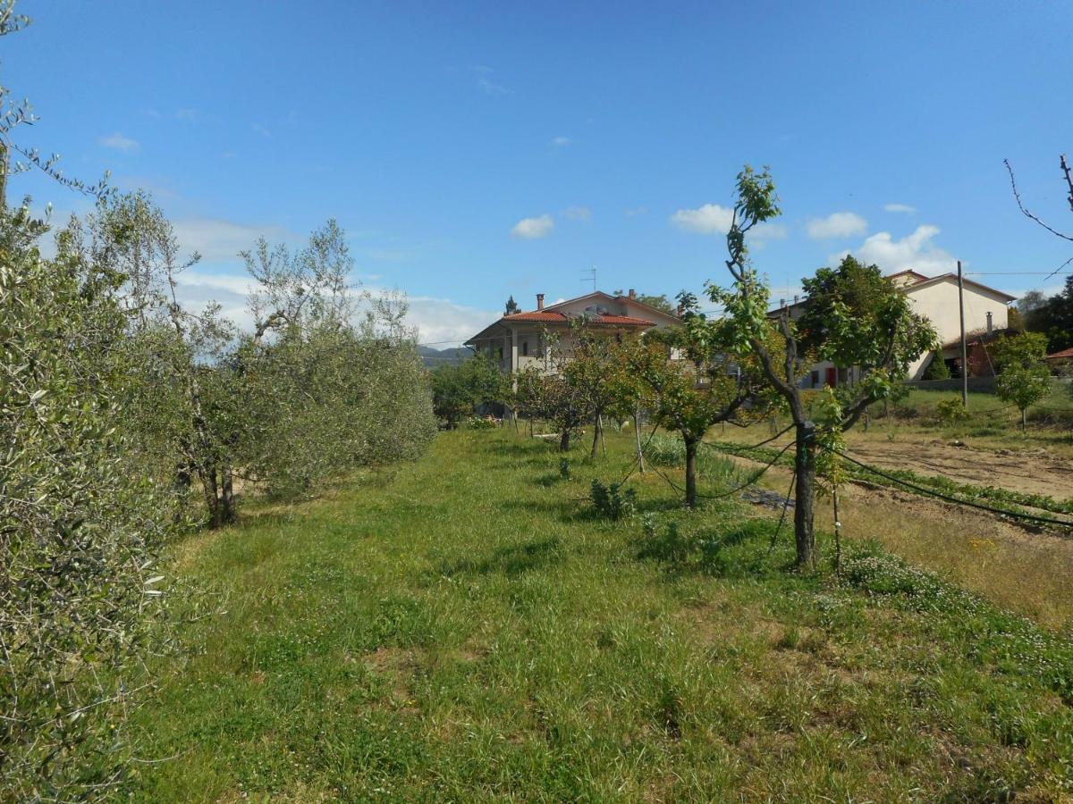 Poggio Fiorito Lägenhet Castiglion Fiorentino Exteriör bild