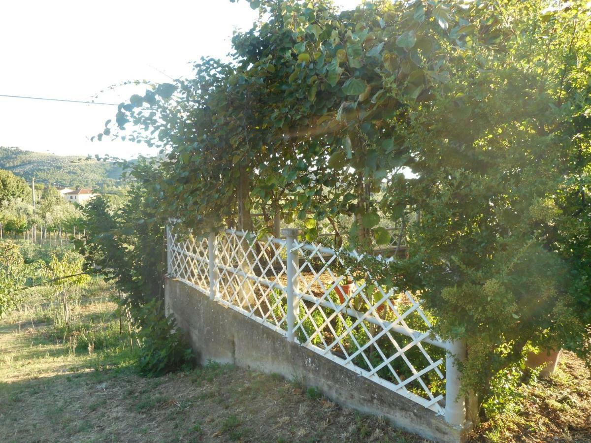 Poggio Fiorito Lägenhet Castiglion Fiorentino Exteriör bild